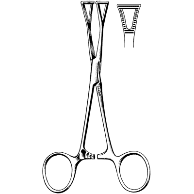 Collins Forceps 6 1/4
