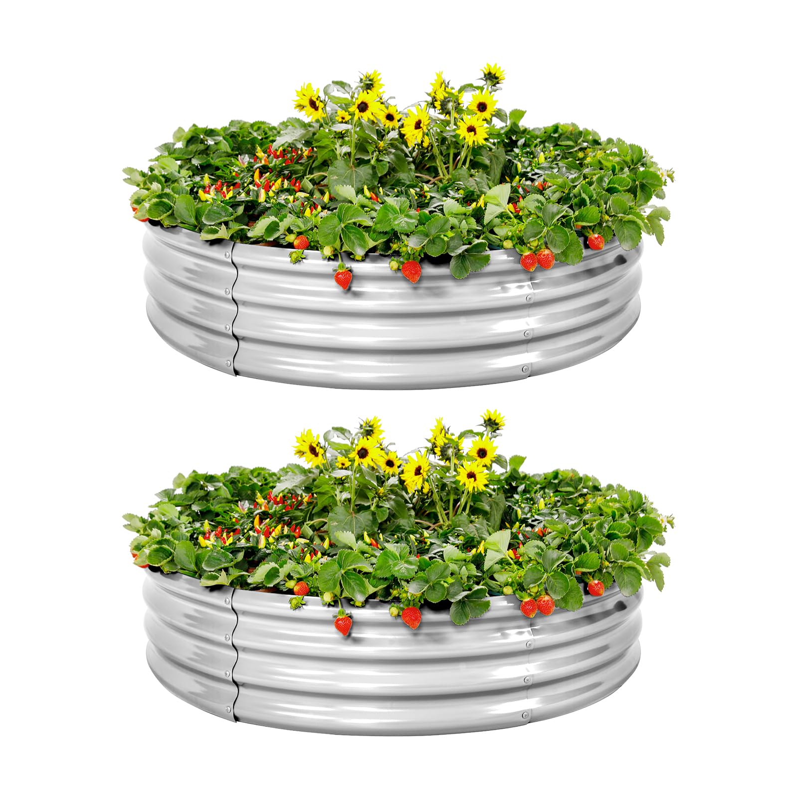 Galvanized Raised Garden Bed Kit - 2 Pack Round Metal Planter Boxes for Vegetables, Herbs & Flowers | Outdoor Gardening, Patio, Backyard & Urban Farming | Durable & Rust-Proof Elevated Planters
