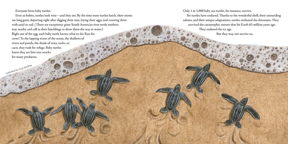 The Book of Turtles: Complete Guide to Turtle Species, Care & Facts - Perfect for Reptile Lovers, Pet Owners & Nature Enthusiasts