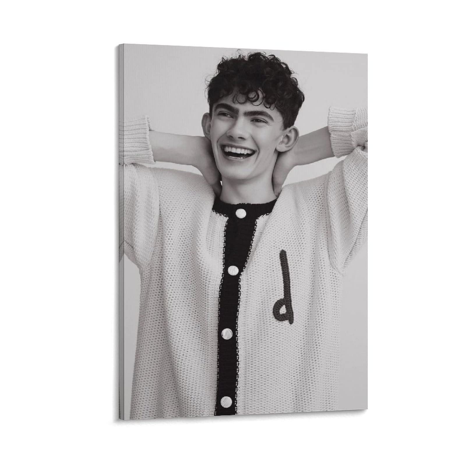 Heartstopper LGBTQ+ Movie Poster Canvas Print - 20x30 Inch (50x75cm) Wall Art for Bedroom, Living Room & Office Decor - Perfect Gift for Fans of Gay Romance Series