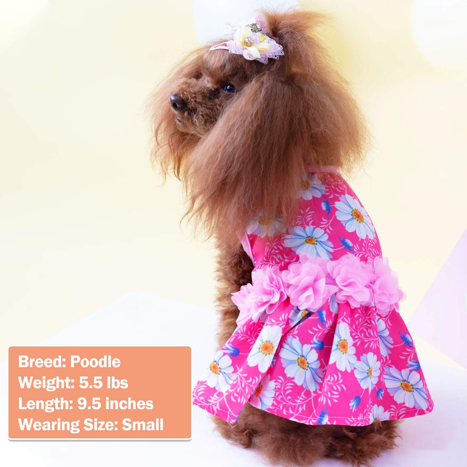 KYEESE Daisy Floral Dog Dress for Small Dogs - Elegant Princess Pet Dress with Flower Decor for Spring & Summer - Perfect for Parties, Photos & Special Occasions
