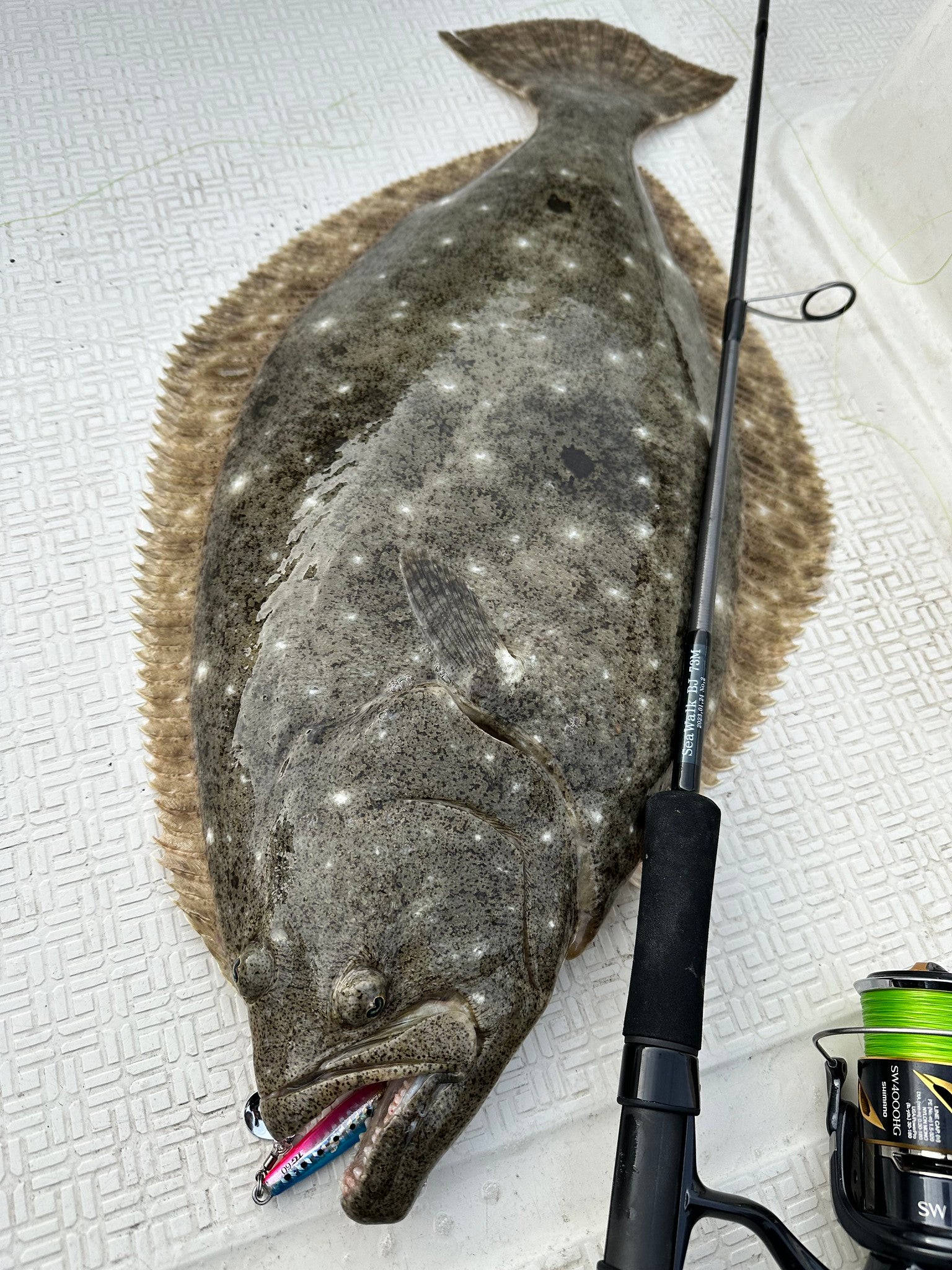 Yamaga Blanks SeaWalk Cast Jigging Swim & Skip Fishing Rods - Saltwater & Freshwater Jigging, Surf Casting for Bass, Tuna, and Offshore Fishing