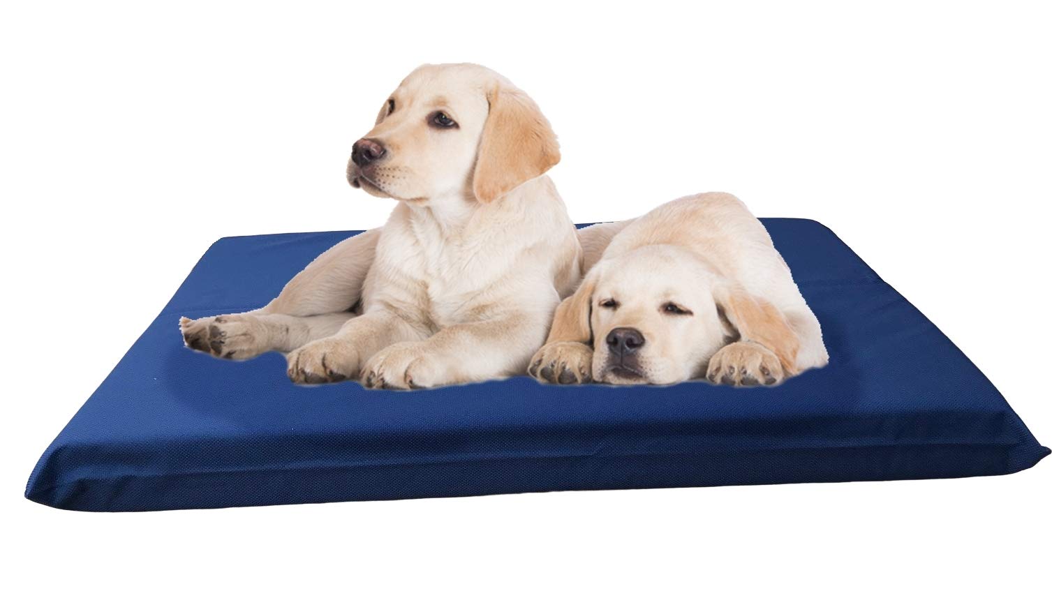Premium High-Density Gel Memory Foam Dog Bed with Waterproof All-Weather Cover - 45
