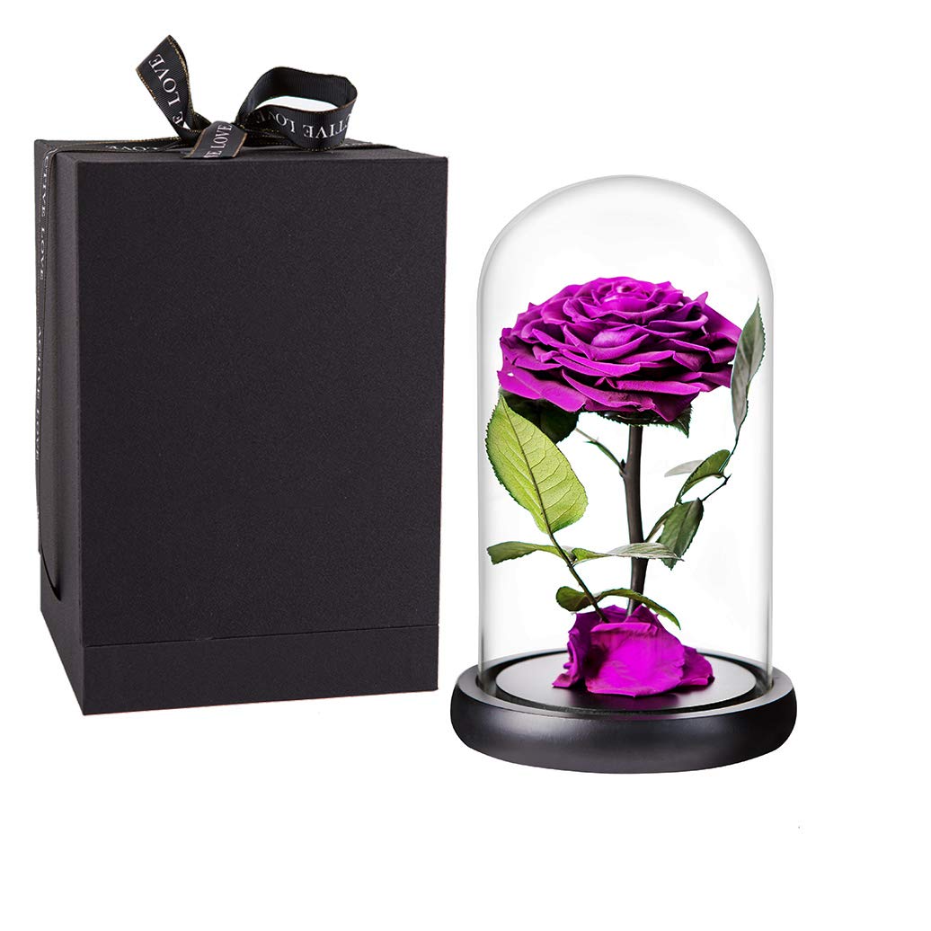 Handmade Real Preserved Purple Roses in Glass Dome - Never Wither Romantic Gift for Her, Mother's Day, Birthday, Anniversary - Perfect for Home Decor, Wedding Centerpieces & Special Occasions (9 inch, Purple)