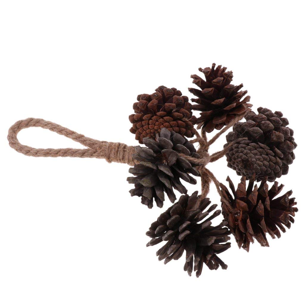 Natural Pine Cone Chewing Bird Toys - Safe Wooden Perches for Parrots, Cockatiels & Conures | Perfect for Cage Enrichment & Beak Trimming