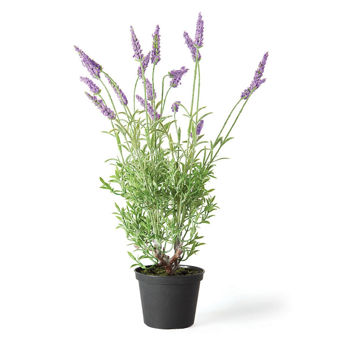 Premium French Lavender Scented Drop-in Air Freshener - 18