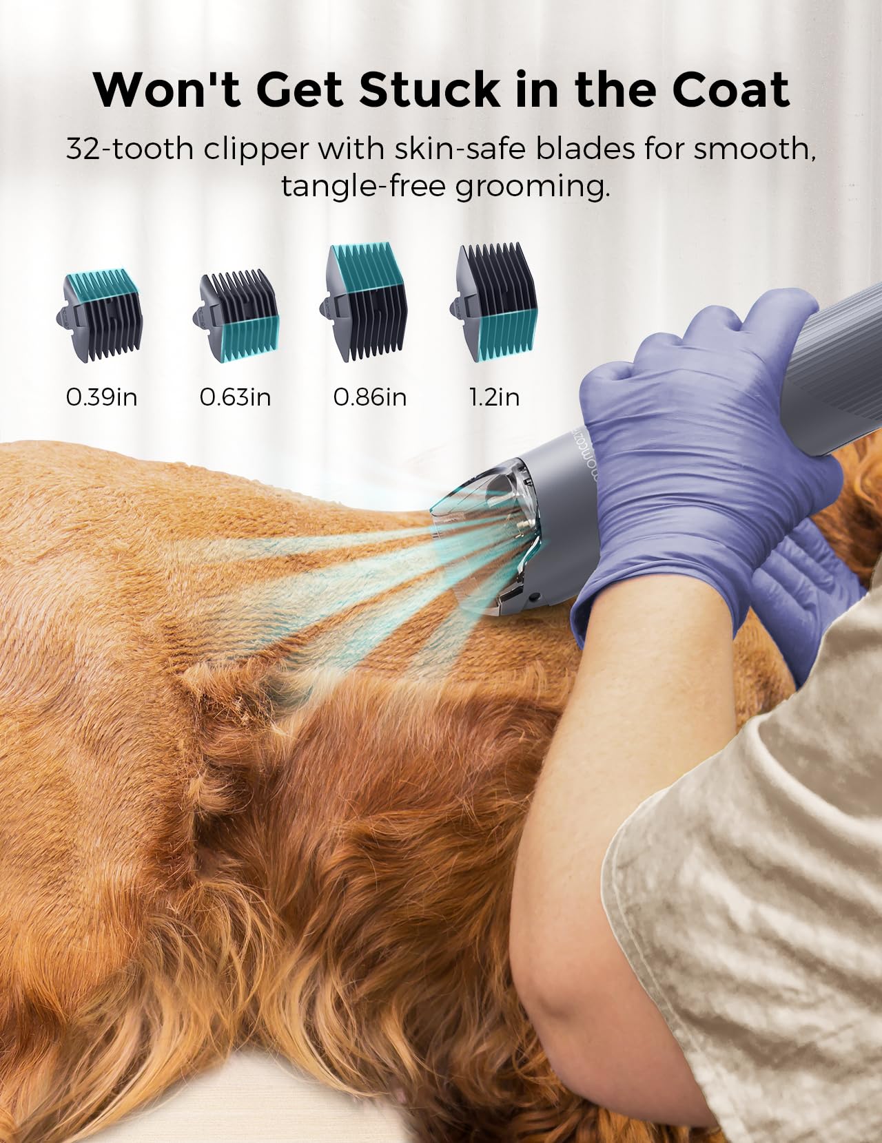 FurEase Dog Grooming Vacuum Kit - 13000Pa Powerful Pet Hair Vacuum with 5 Grooming Tools & 2.6L Dust Cup | Dog Clippers, Shedding Brush & Grooming Accessories | Perfect for Home Pet Grooming & Shedding Control