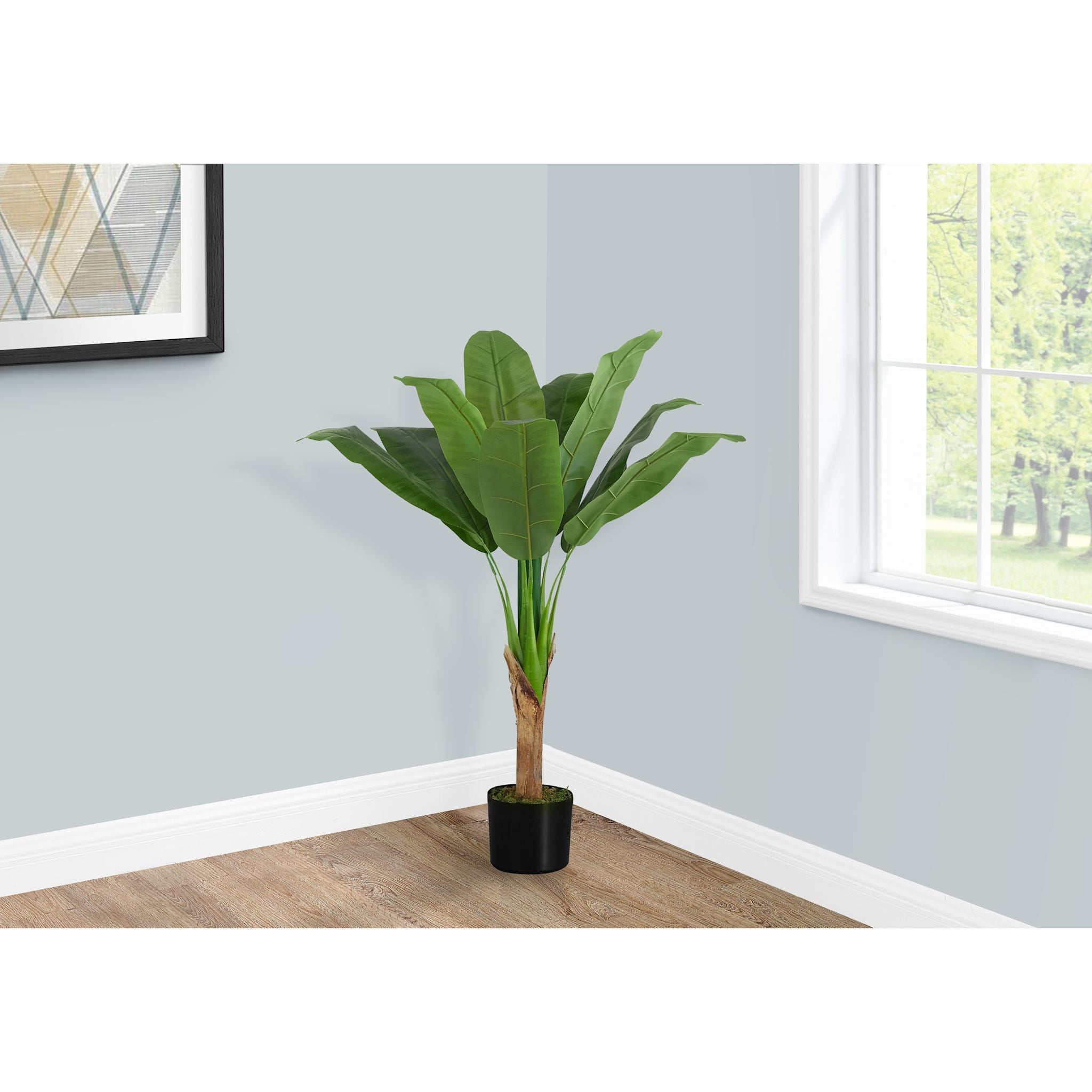 Banana Tree Plant - Live Tropical Fruiting Tree for Home Garden & Landscaping | Perfect for Indoor Decor, Backyard Orchard, and Patio Gardening