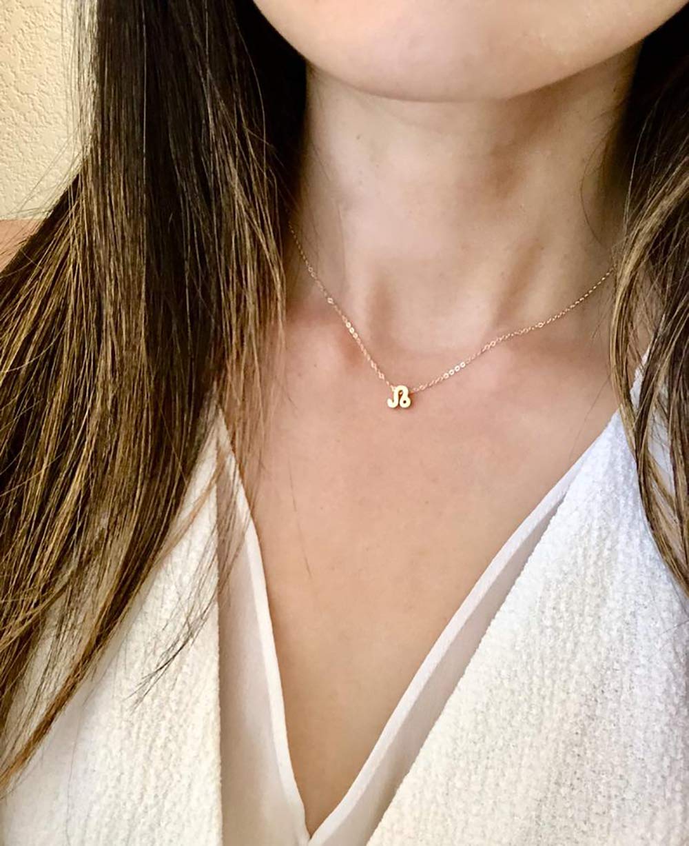 HUASAI 2Pcs Zodiac Necklace for Women - Personalized Horoscope Constellation Pendant Jewelry, Birth Month Astrology Gift for Her (Perfect for Birthday, Anniversary & Special Occasions)