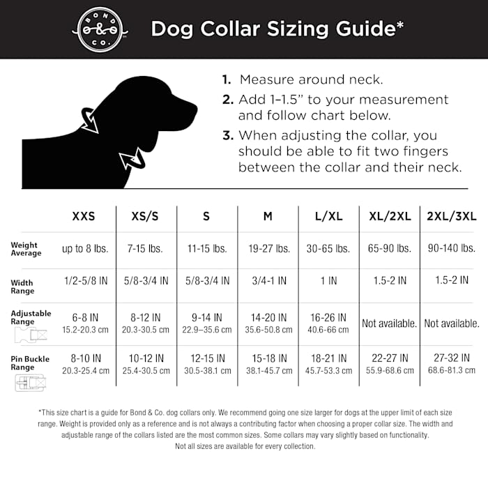 Palm Springs Dog Collar for Small Dogs - Stylish & Comfortable Pet Collar with Adjustable Buckle - Perfect for Daily Walks, Training & Outdoor Adventures