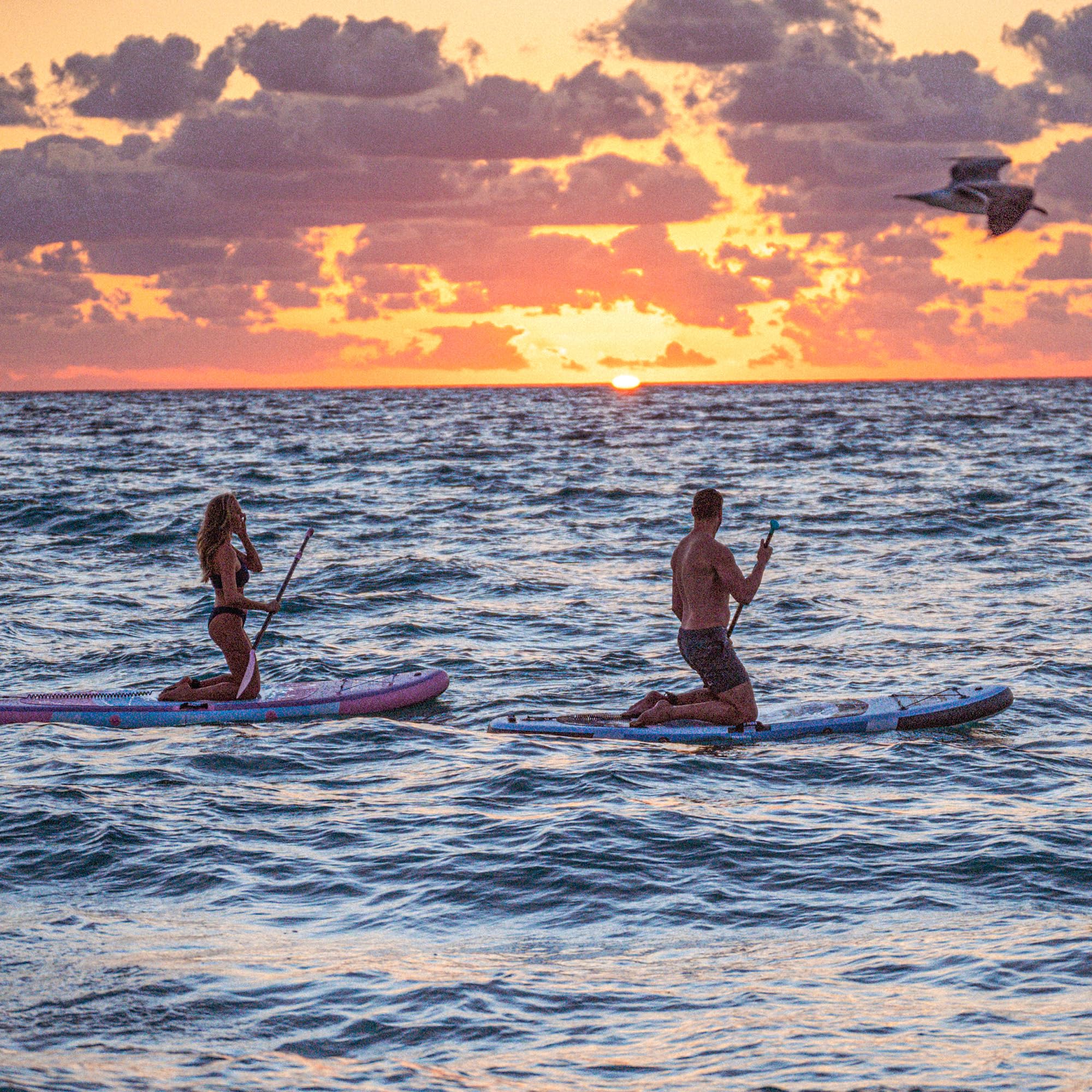 Niphean Inflatable Stand Up Paddle Board for Adults - 10ft SUP Board with Stable Fins, Durable SUP Accessories - Perfect for Beginners, Yoga & Water Sports - Great for Lakes, Rivers & Ocean Paddling