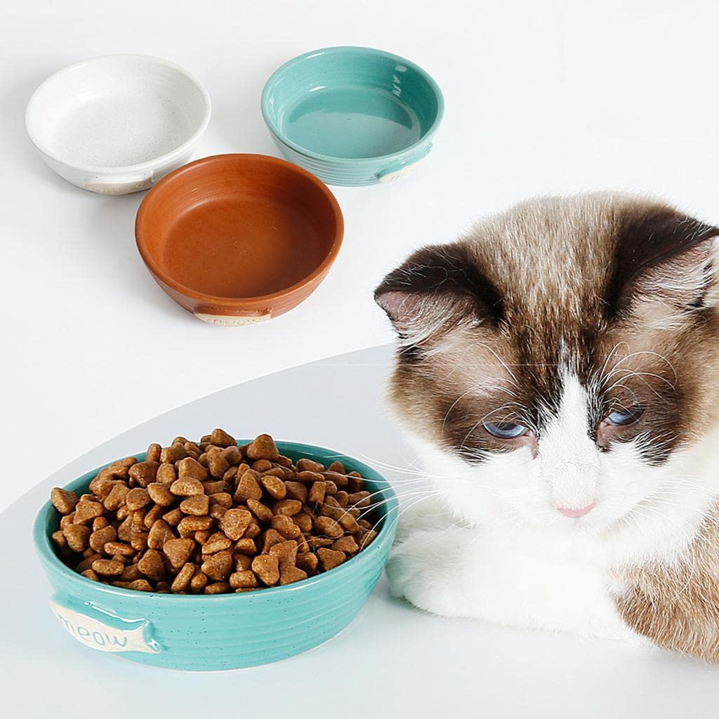 Premium Pet Food & Water Bowl for Dogs and Cats - Durable Feeding Dish Container in Beige - Perfect for Home, Travel, and Outdoor Use
