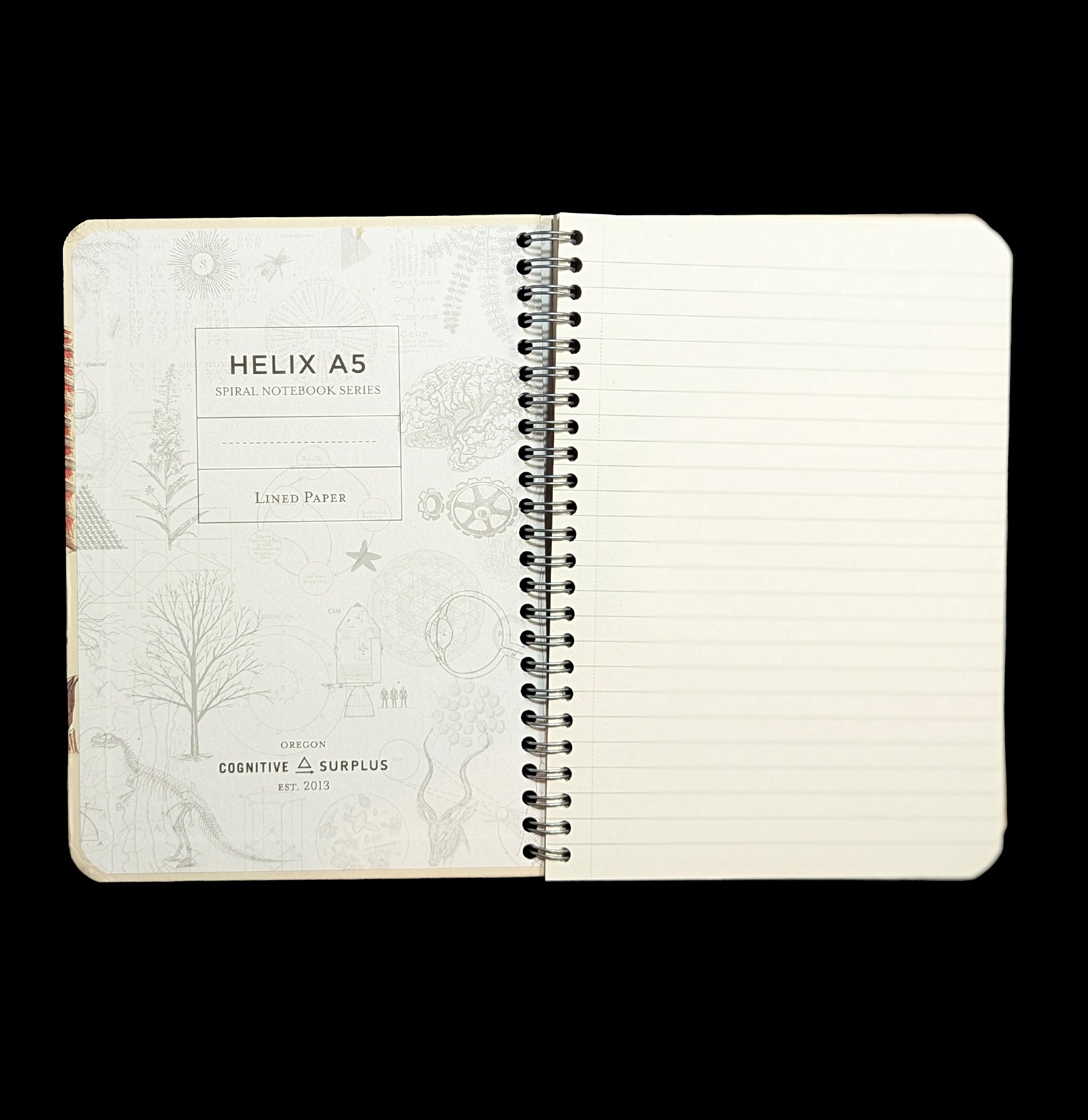 Human Anatomy Spiral Notebook - Medical Student Study Notes, Nursing School Supplies, Science Gift for Doctors - Perfect for Anatomy Classes & Healthcare Professionals