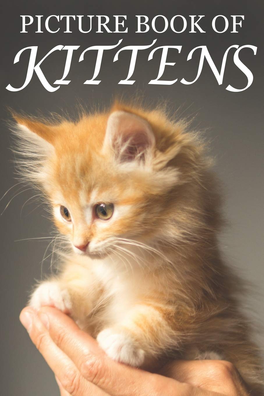 Kitten Picture Book for Seniors with Dementia - Cute Animal Photo Book for Memory Care & Alzheimer's Patients | Perfect for Therapy, Relaxation & Cognitive Stimulation