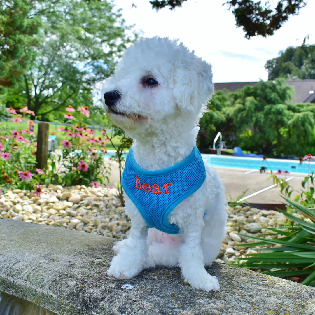 Custom Embroidered Dog Harness with Pet Name - Soft Padded Air Mesh No-Pull Vest for Small & Medium Dogs | Adjustable Puppy Walking Harness Made in USA (Small, Blue) - Perfect for Daily Walks, Training & Outdoor Adventures