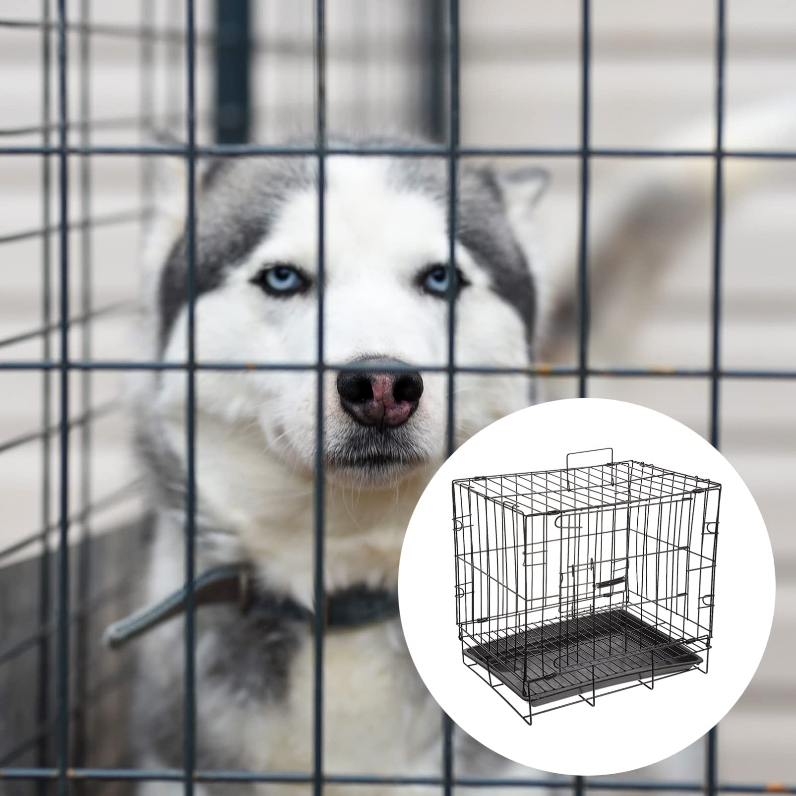 Balacoo Foldable Large Dog Crate - Heavy Duty Metal Wire Kennel for Indoor & Outdoor Use - Portable Pet Cage for Puppies & Adult Dogs - Ideal for Home, Travel, Camping, and Vet Visits