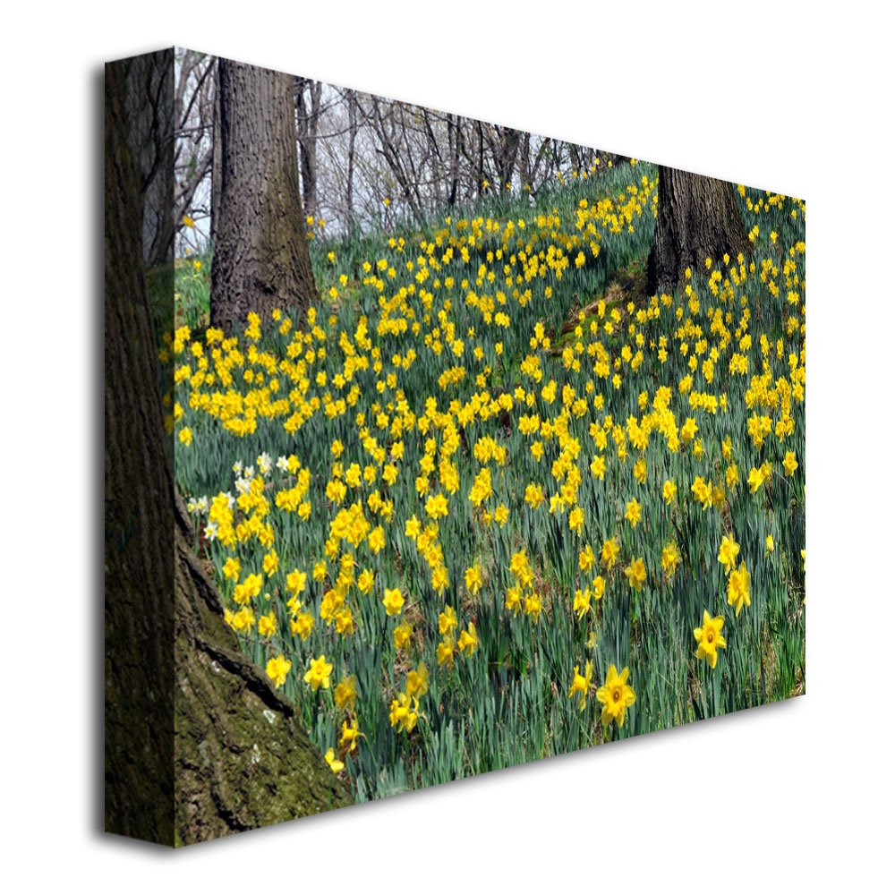Trademark Fine Art Kurt Shaffer Hillside of Daffodils 30x47 Inch Canvas Wall Art - Perfect for Living Room, Bedroom & Office Decor