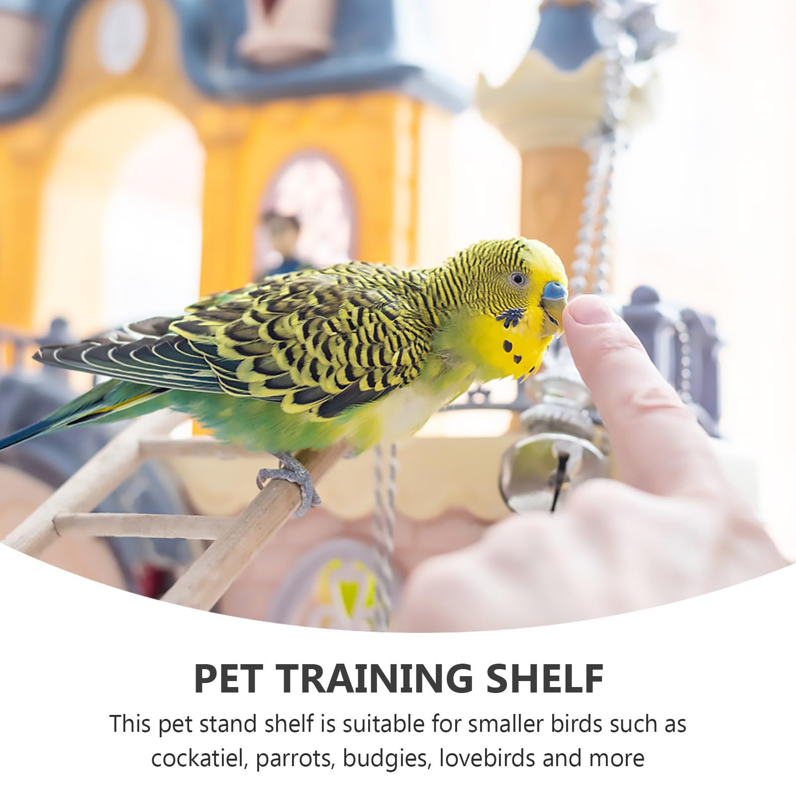 FRCOLOR Wooden Bird Cage Ladder - Parrot Climbing Bridge, Grind Stick & Swing for Small Birds - Hamster Accessories - Perfect for Parrot Play, Exercise & Cage Enrichment