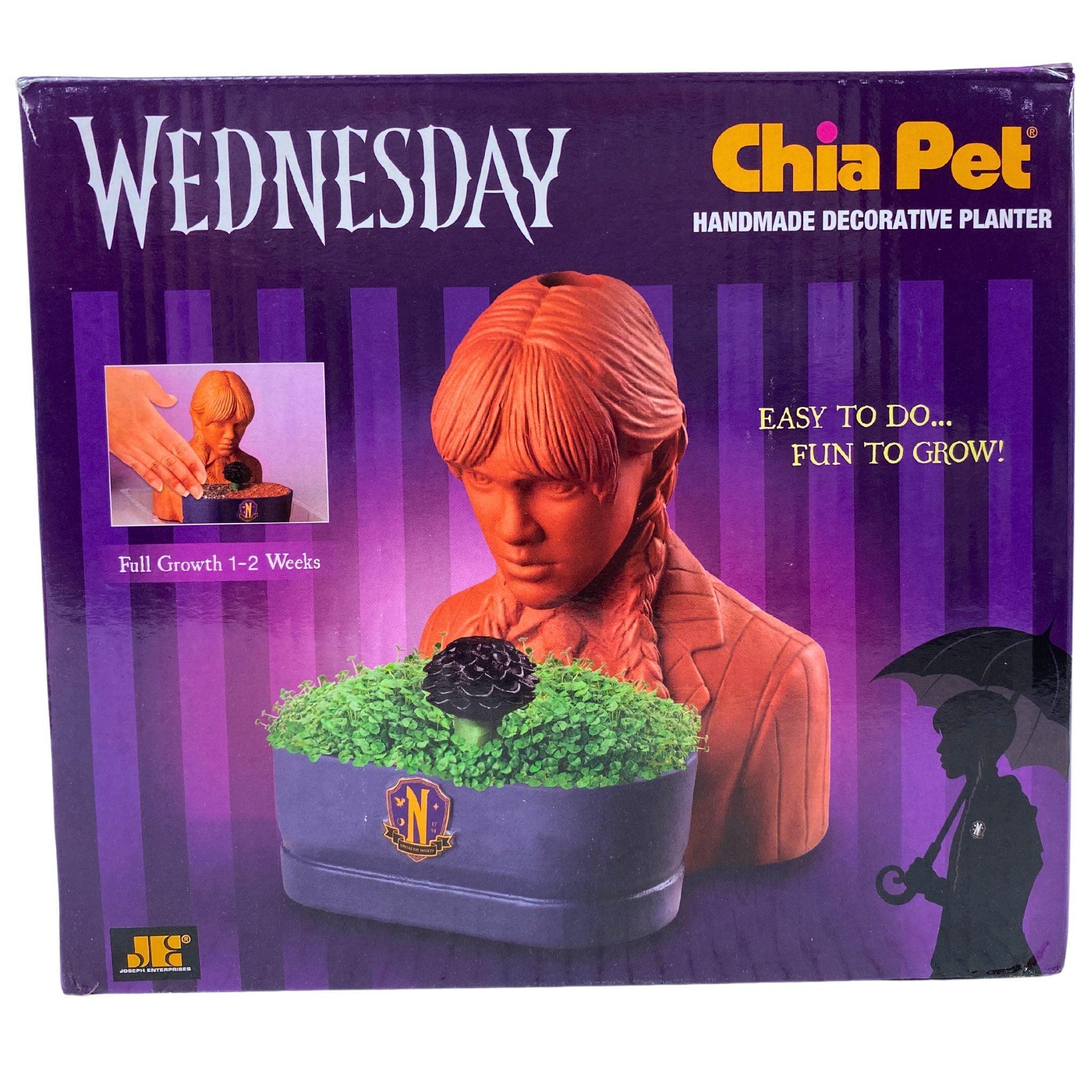 Wednesday Chia Pet Handmade Decorative Planter - Set of 40 Unique Succulent Planters for Home & Office Decor, Wedding Favors, and Gift Ideas