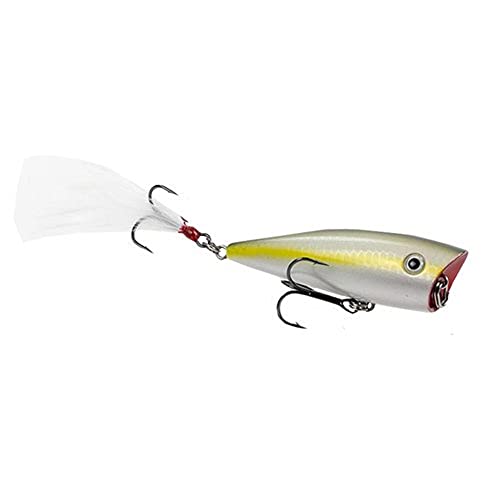Sexy Blue Back Herring
