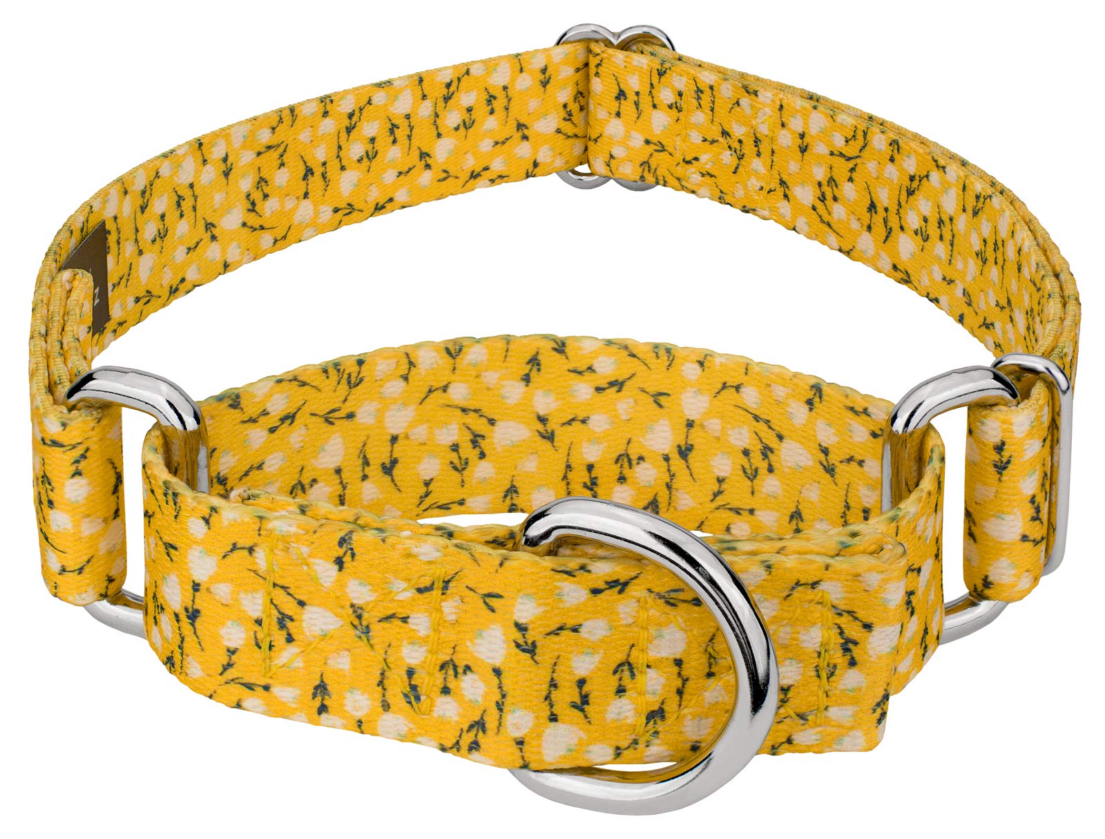 Country Brook Petz - Spring Cottagecore Martingale Dog Collar for Medium & Large Dogs - Floral Pattern Adjustable Training Collar with 8 Spring Designs (1 Inch Wide) - Perfect for Daily Walks, Training & Outdoor Adventures