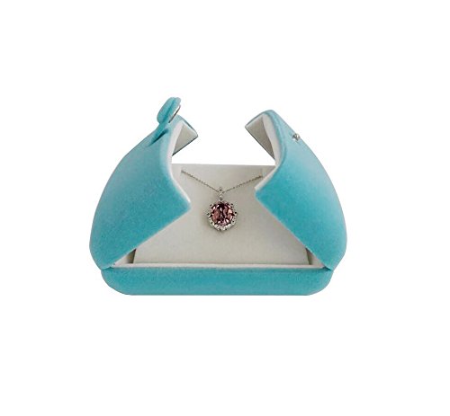 Necklace Earring Combo Case