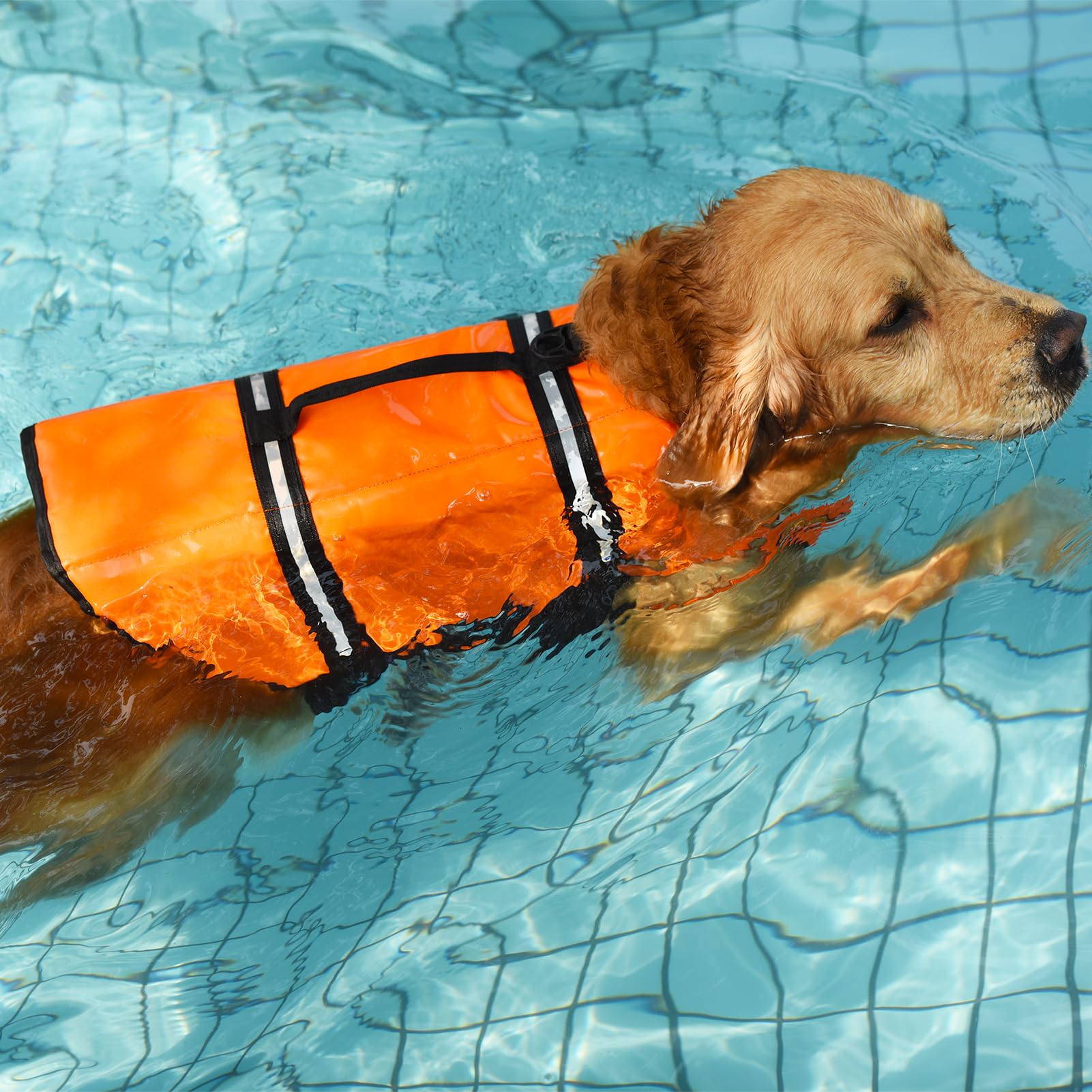Doglay Dog Life Jacket - Adjustable Puppy Life Vest with Reflective Stripes for Swimming & Boating | Superior Buoyancy Safety Jacket for Small, Medium & Large Dogs | Perfect for Pool, Beach & Water Adventures