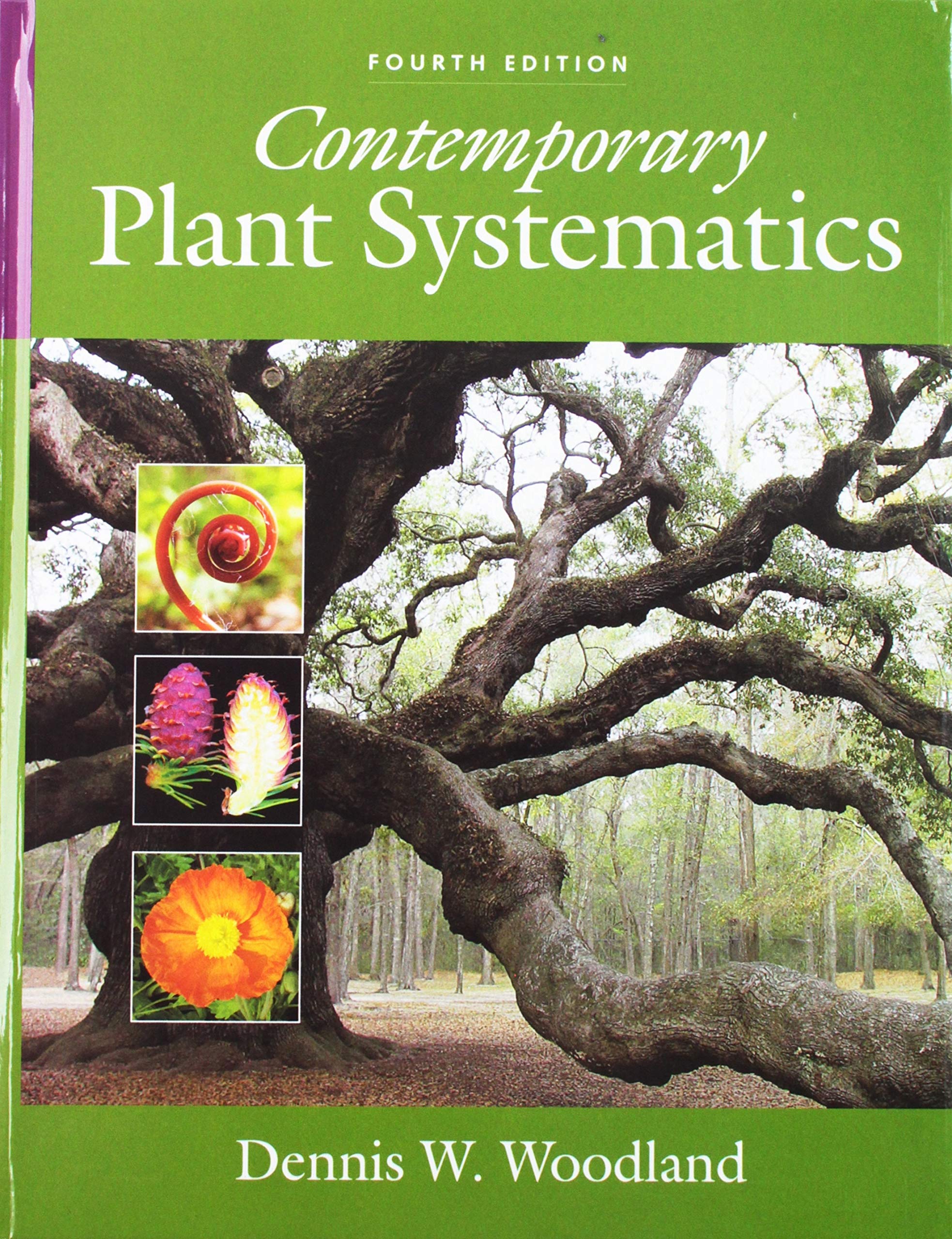 Contemporary Plant Systematics Textbook - Modern Botanical Classification Guide for Students & Researchers | Perfect for Botany Studies, Plant Identification & Scientific Research