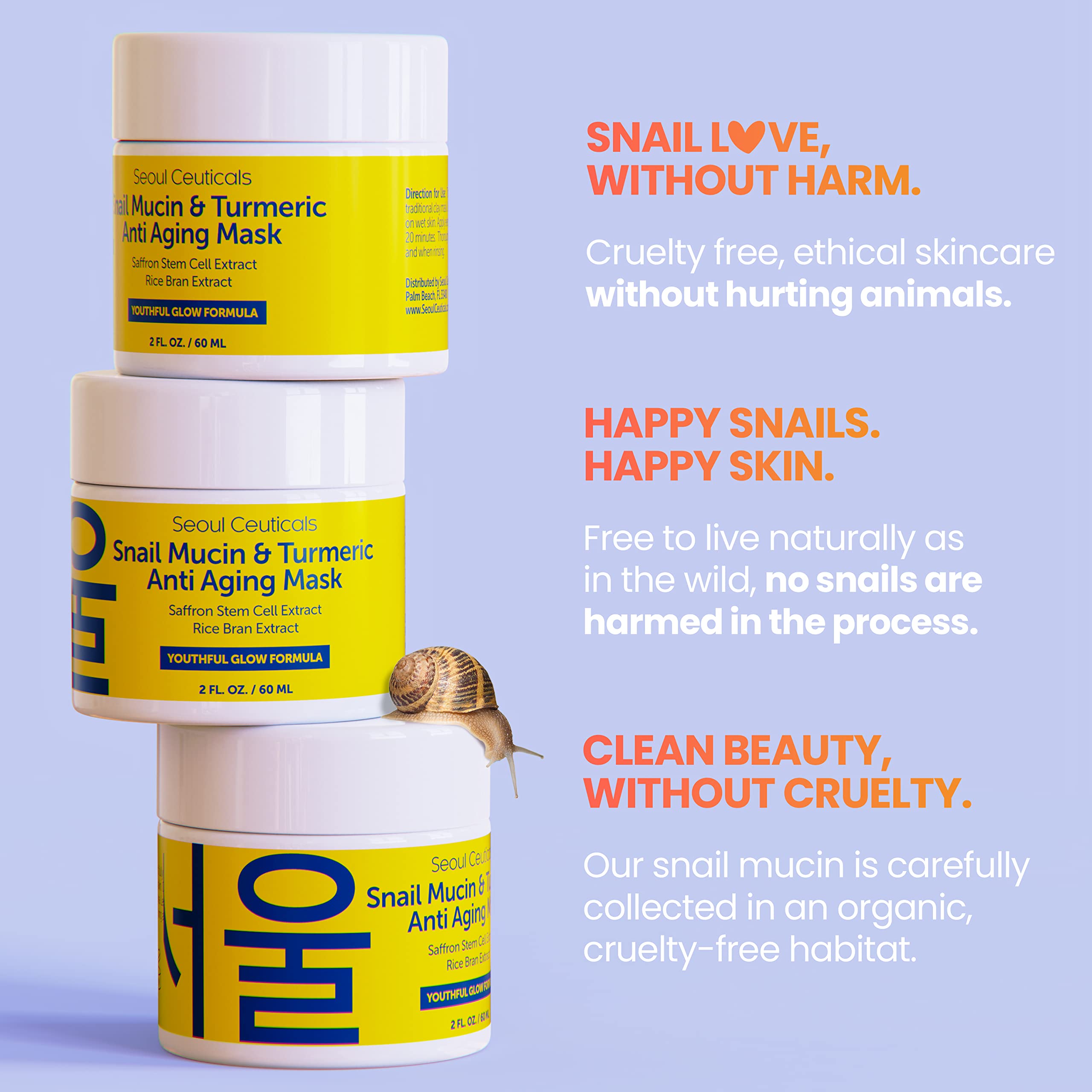 Korean Snail Mucin Turmeric Face Mask - Anti-Aging K-Beauty for Youthful Glow | Skincare & Spa Days