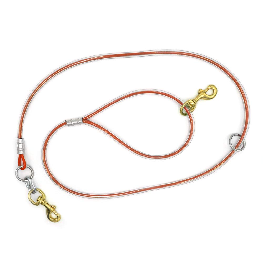 Outdoor Dog Supply's 5ft Heavy Duty Durable Orange Dog Leash for Walking, Training, and Outdoor Adventures