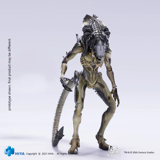 1/18 Scale HIYA 6-Inch Predalien Action Figure - Exquisite Mini Collectible Series for AVPR Fans | Perfect for Display, Gifts & Alien vs Predator Collections