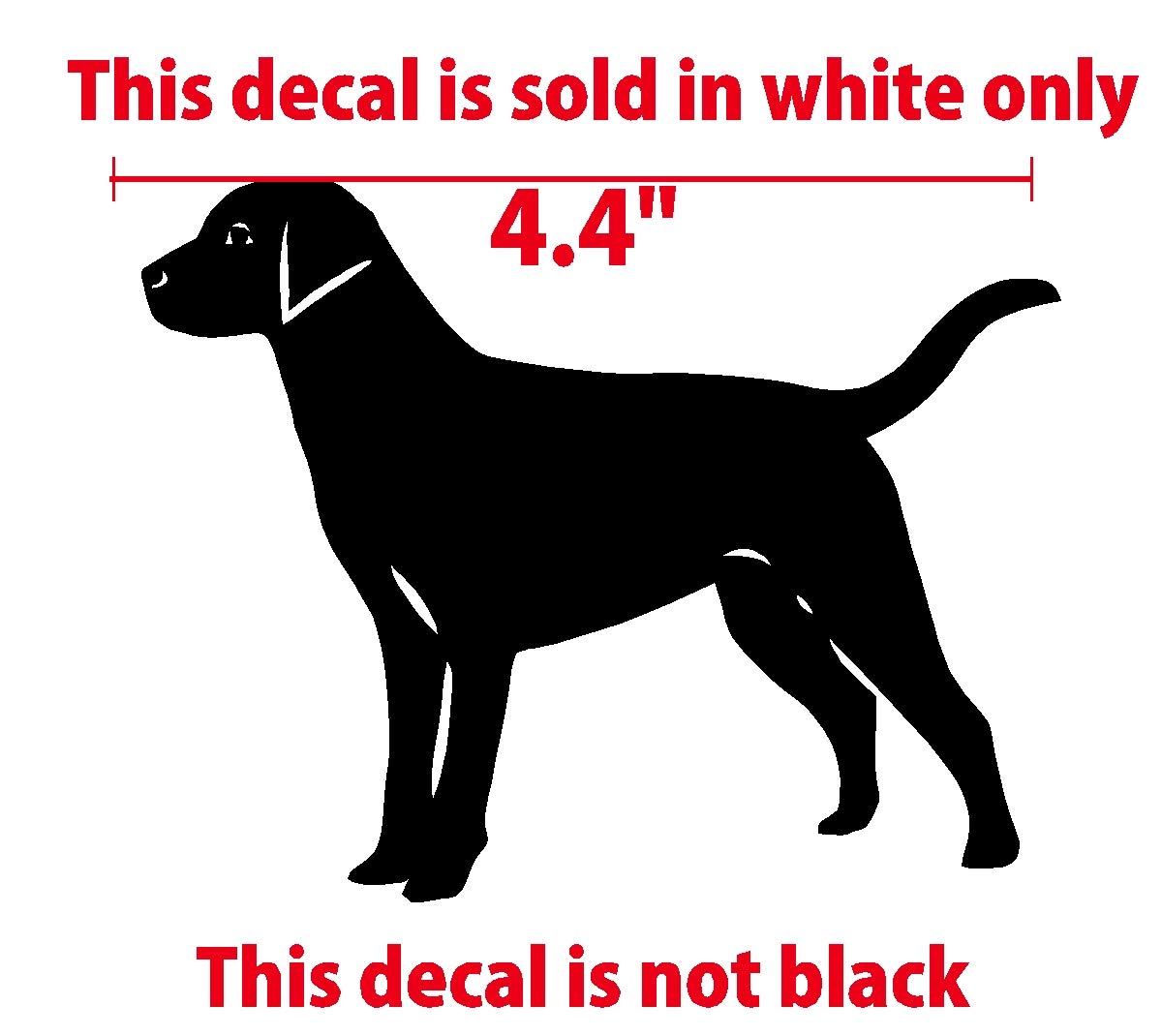 Black Lab Labrador Retriever Dog Decal Sticker - Waterproof Vinyl for Car Windows, Walls, Laptop, MacBook | Perfect for Pet Lovers, Home Decor & Personalization