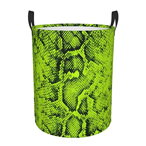 Snake Skin 03