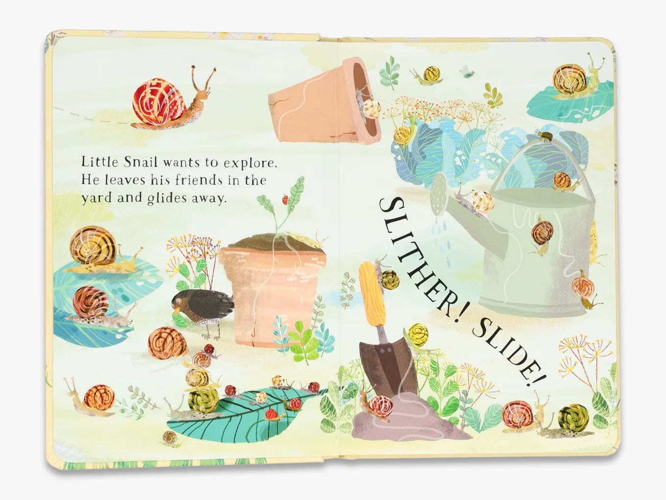 Little Snail's Book of Bugs - Educational Children's Picture Book About Insects | The Big Book Series | Perfect for Storytime, Homeschooling & Nature Exploration