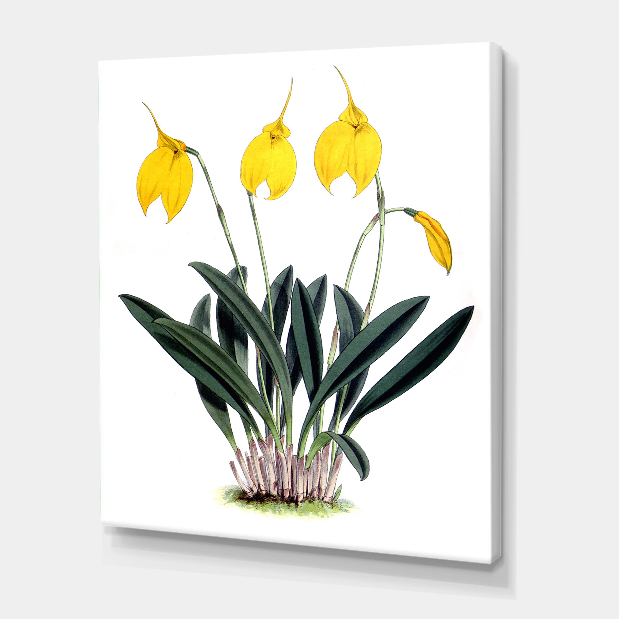 Vintage Orchid Flowers Farmhouse Canvas Wall Art - Hand Painted Floral Decor for Living Room, Bedroom & Office - Perfect for Home, Apartment & Gift Giving