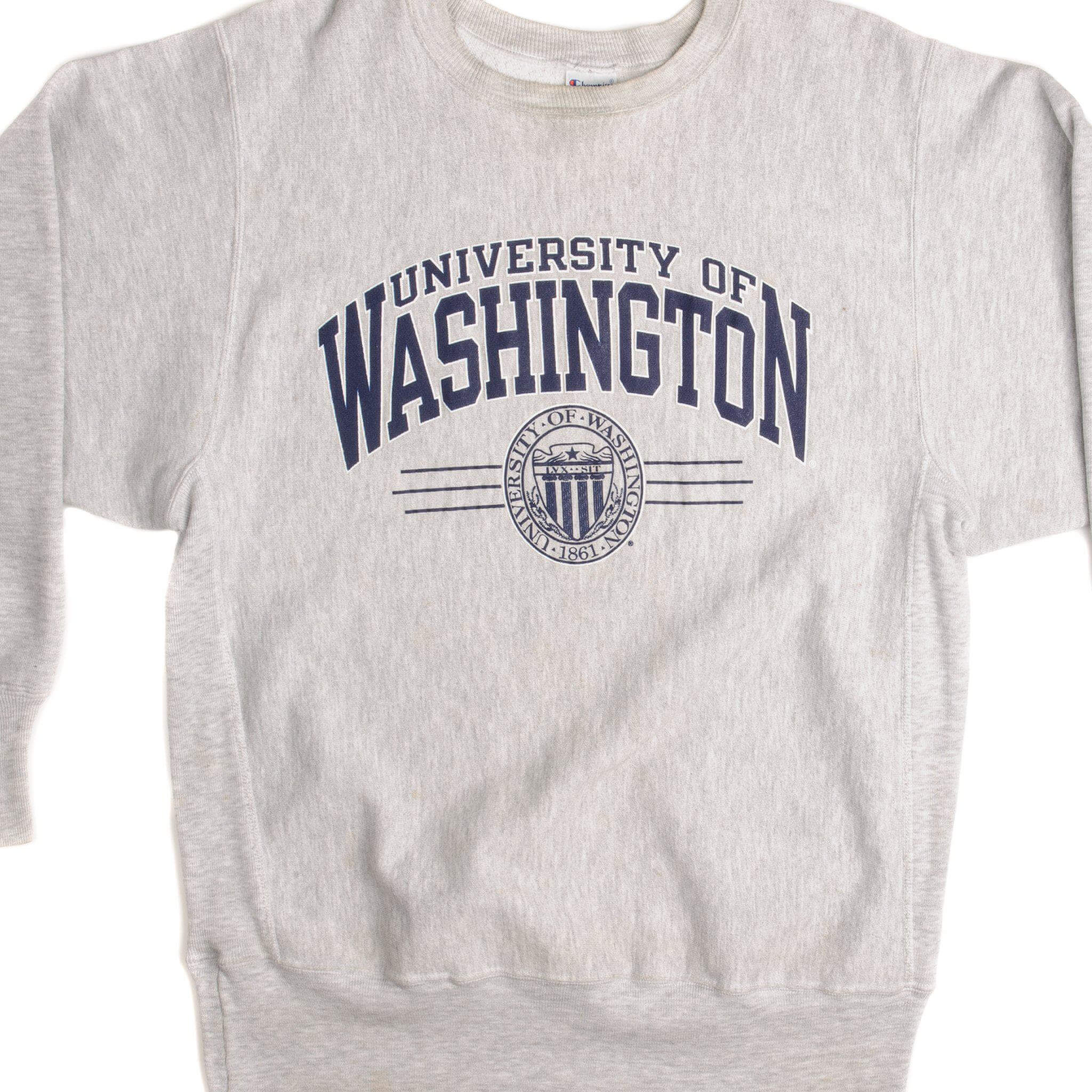Vintage Champion Reverse Weave Sweatshirt 1990s - Size Large - Retro 90s Streetwear for Men & Women - Perfect for Casual Wear, Gym, and Urban Fashion