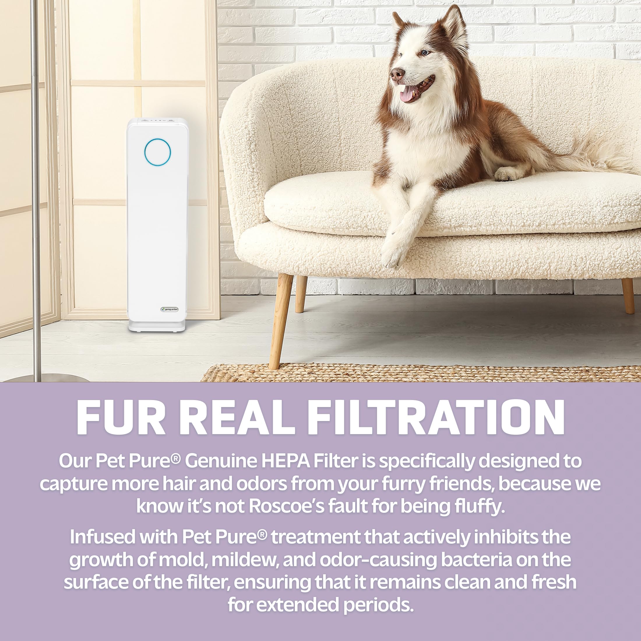 GermGuardian AC4300WPT 5-in-1 True HEPA Air Purifier with UV-C Light - Captures Allergens, Pet Dander, Pollen, Smoke, Dust & Mold - 22