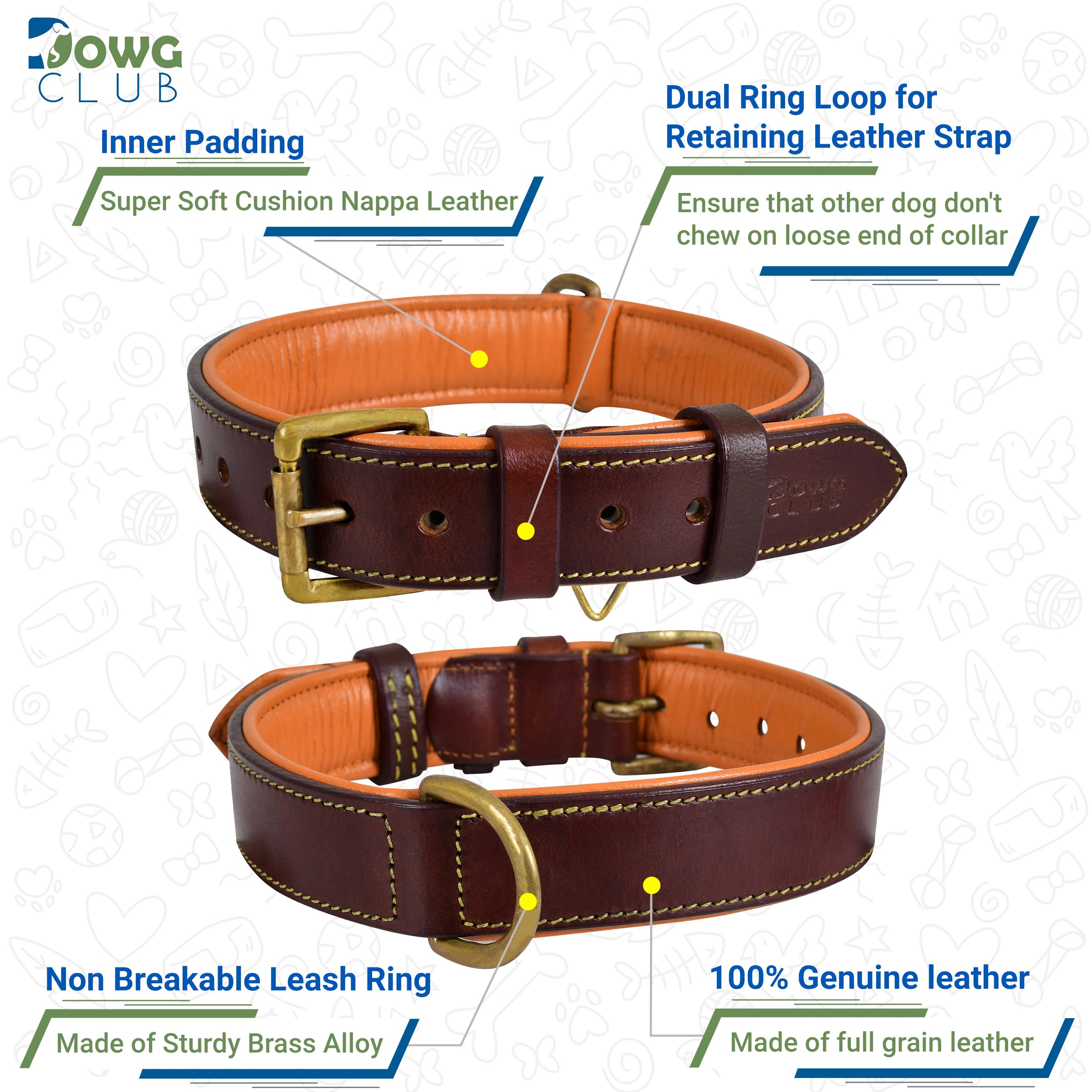 Premium Genuine Leather Dog Collar for Extra Large Dogs - 1.5