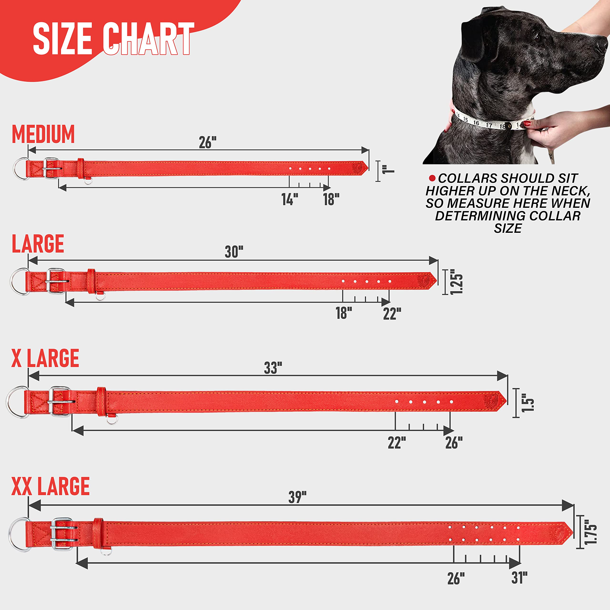 Genuine Leather Dog Collar for Medium Large & XL Breeds - Adjustable Heavy Duty Pet Collar with Durable Hardware (Red, Size L) - Perfect for Walking, Training & Outdoor Adventures