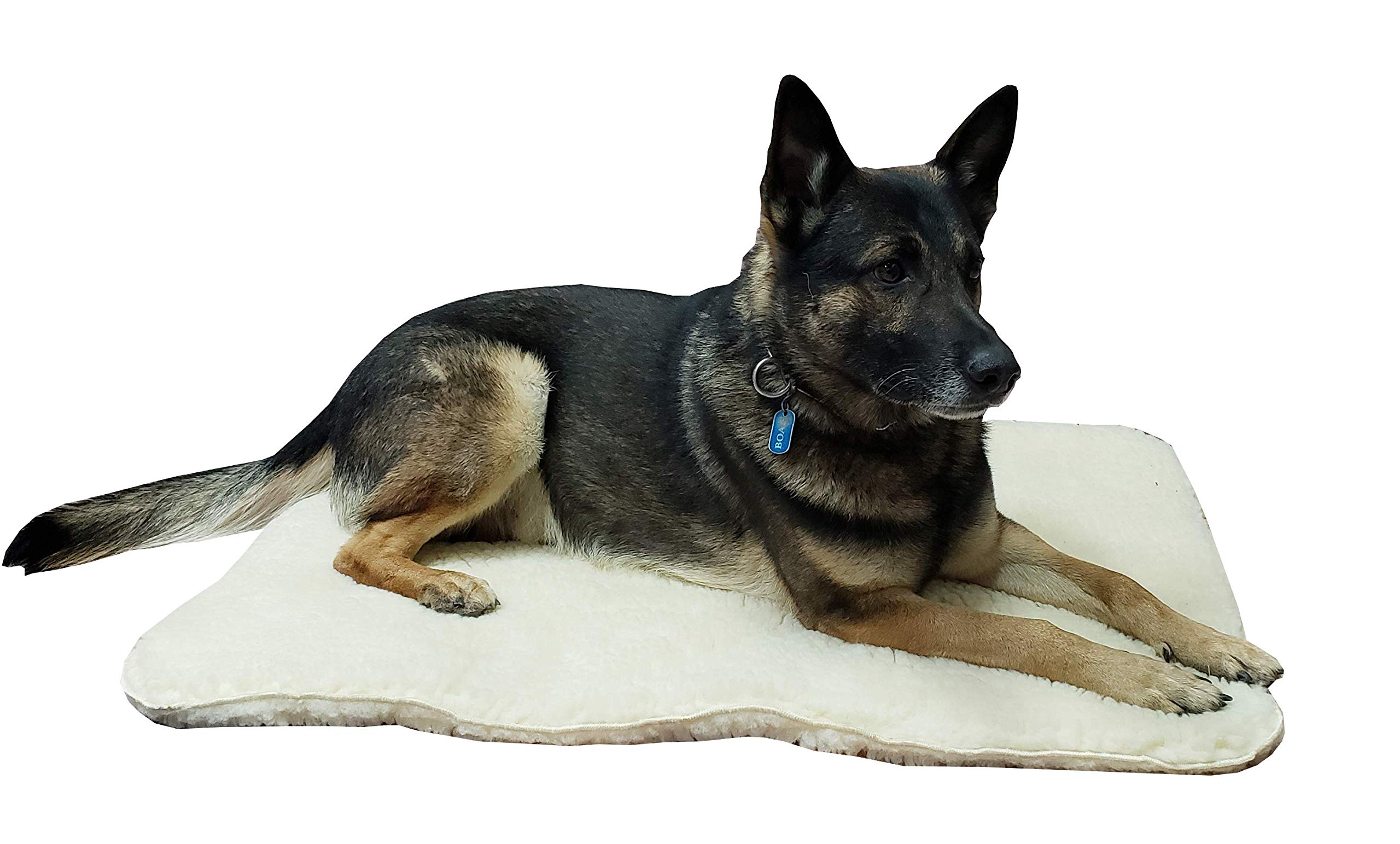 ActiveDogs Orthopedic Dog Bed - Small 18