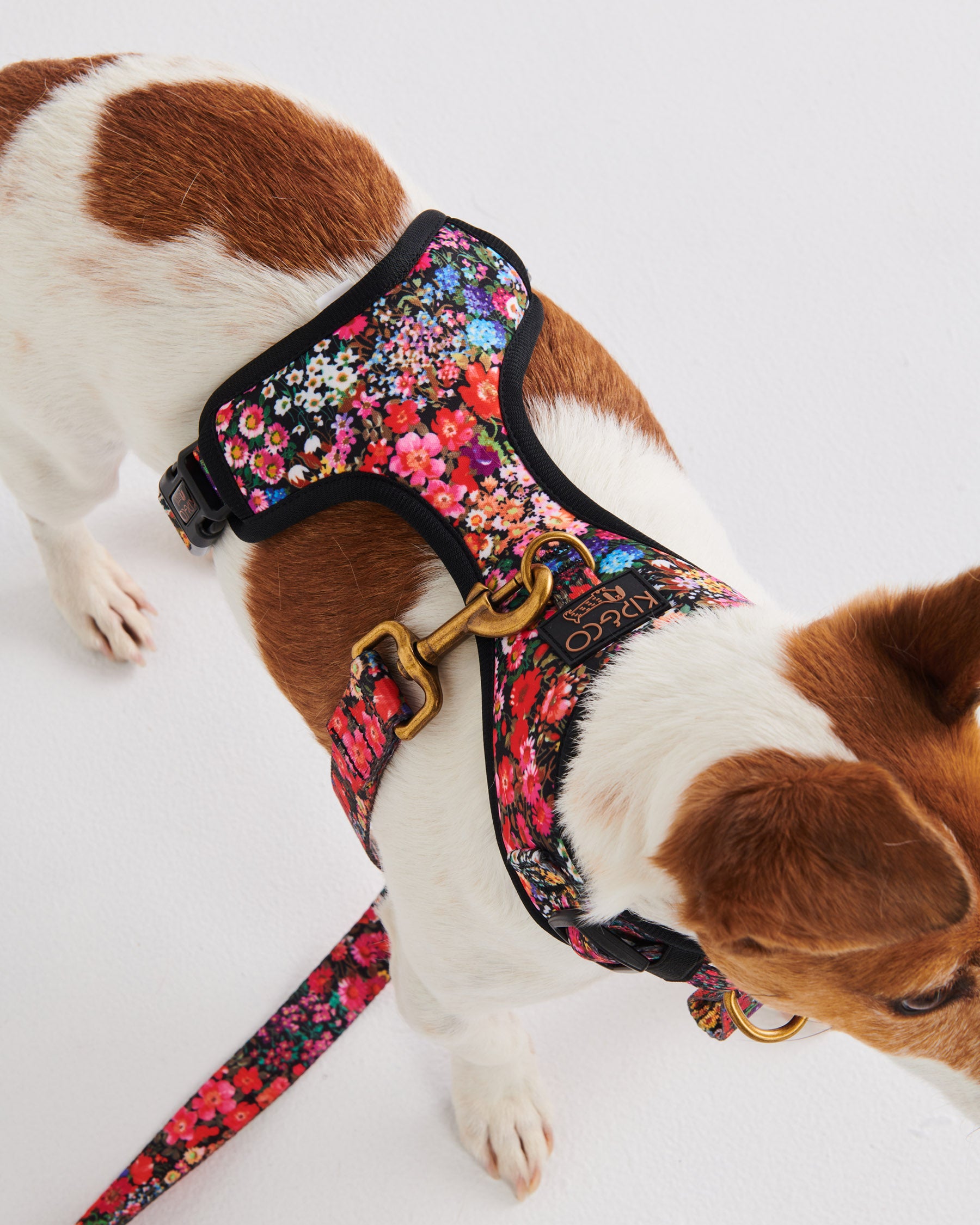 Forever Floral Black Dog Harness - Adjustable Pet Vest for Small & Medium Dogs - Perfect for Walking, Training & Outdoor Adventures