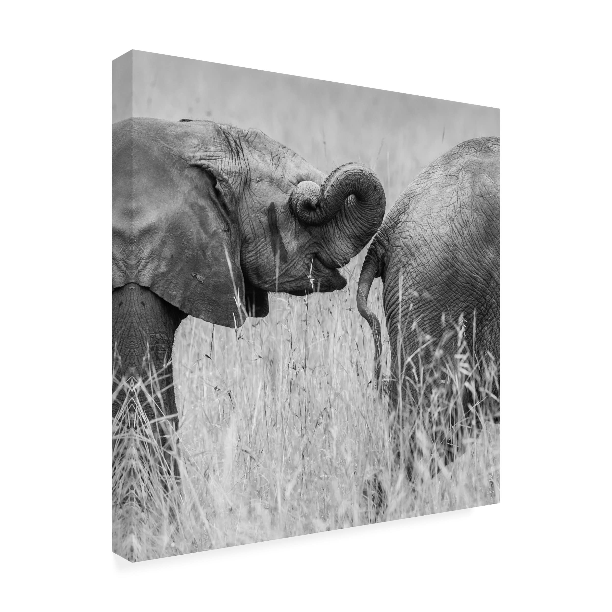 Trademark Fine Art 'Itrunk' Canvas Painting by Mohammed Alnaser - Modern Wall Art for Living Room, Bedroom & Office Decor