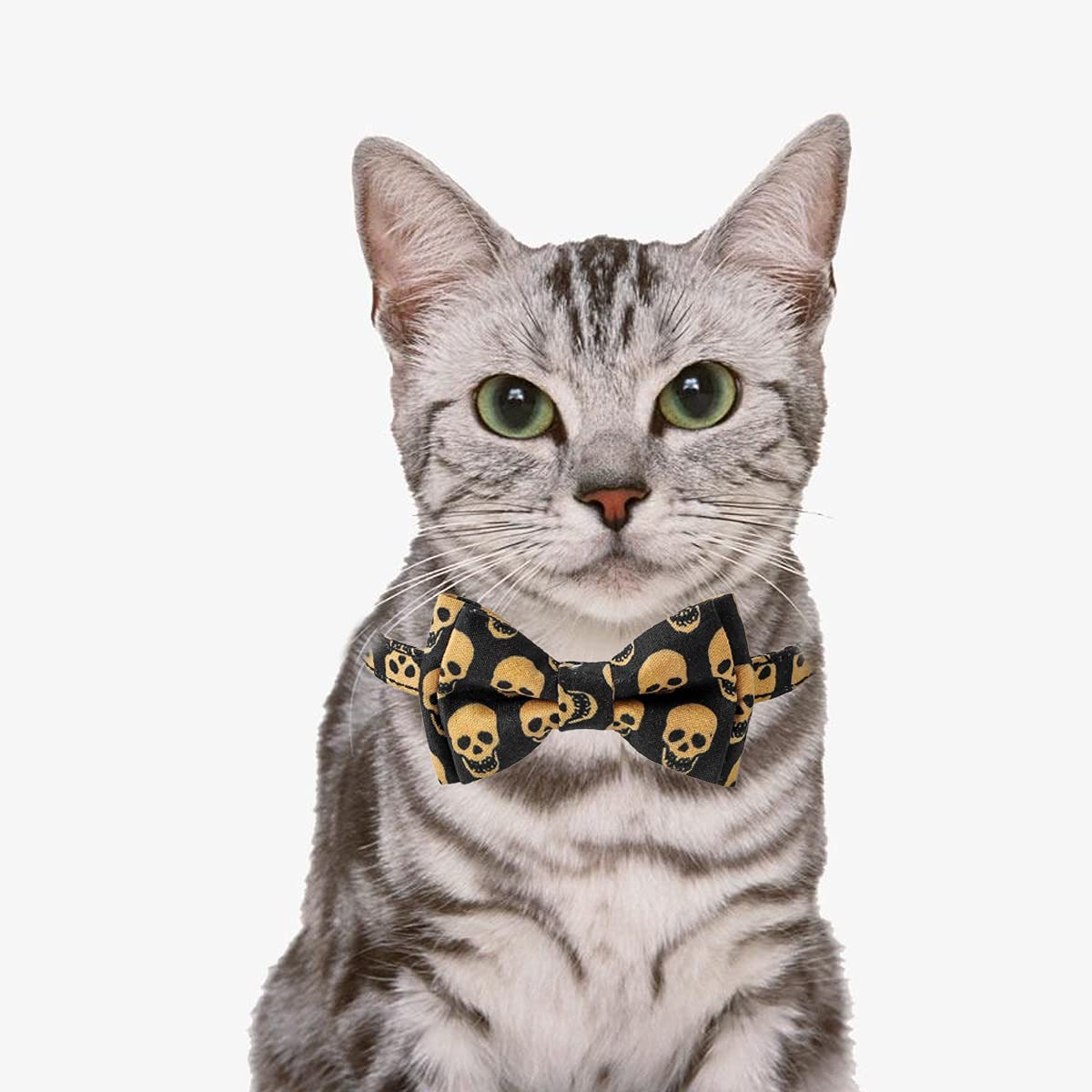Halloween Cat Collar with Removable Bell & Adjustable Bow Tie - Skull Pet Accessories for Cats & Small Dogs | Perfect for Halloween Costumes & Party Outfits