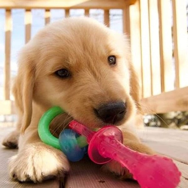 Nylabone Puppy Teething Pacifier - Soothing Chew Toy for Puppy Teething Relief - Perfect for Small to Medium Dogs at Home or Travel