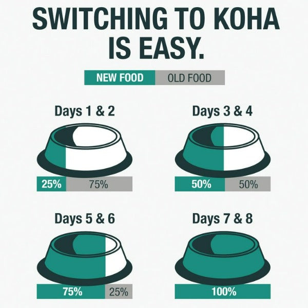 KOHA LID Rabbit Pate Grain-Free Canned Cat Food - Limited Ingredient Diet, High Protein Wet Food for Cats with Sensitive Stomachs - Perfect for Indoor Cats & Kittens with Allergies