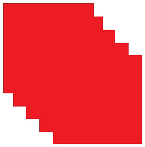 SISER EasyWeed HTV Heat Transfer Vinyl for T-Shirts - 12