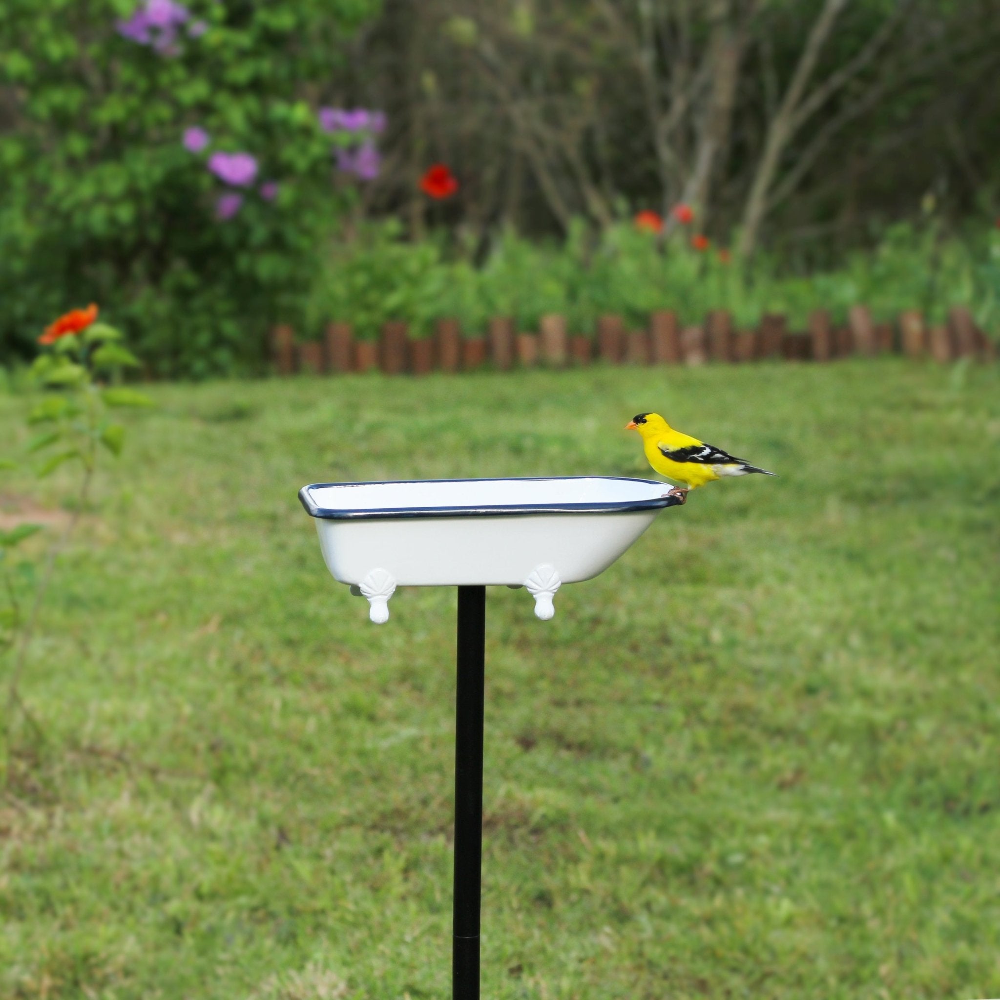 Splish Splash Brass Birdbath for Garden Decor - Elegant Outdoor Bird Bath for Attracting Birds to Your Backyard or Patio