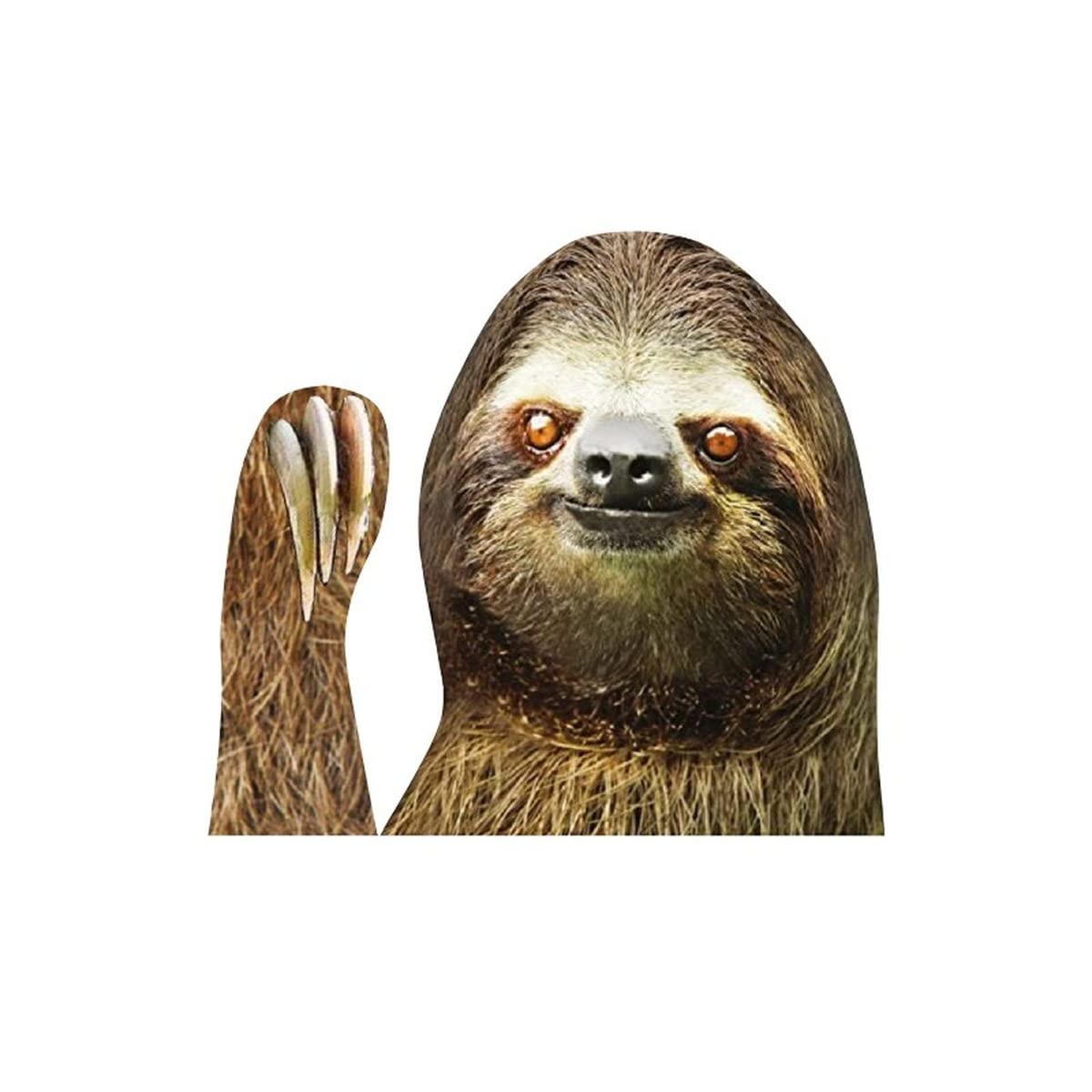 2PCS Funny Sloth Car Window Cling Decals - Waterproof Vinyl Stickers for Vehicles, Cars & Trucks - Perfect for Road Trips, Commuting & Expressing Your Personality