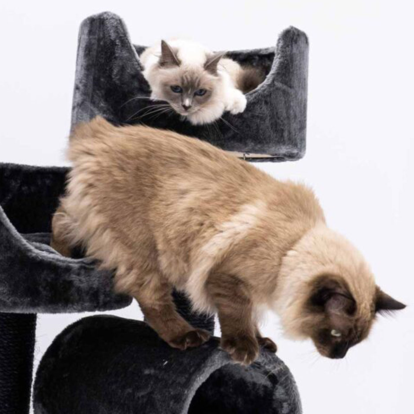 Kings & Queens Victoria 125cm Cat Tree - Premium Tall Cat Tower with Scratching Posts & Perches for Indoor Cats - Perfect for Play, Rest & Climbing in Home or Apartment