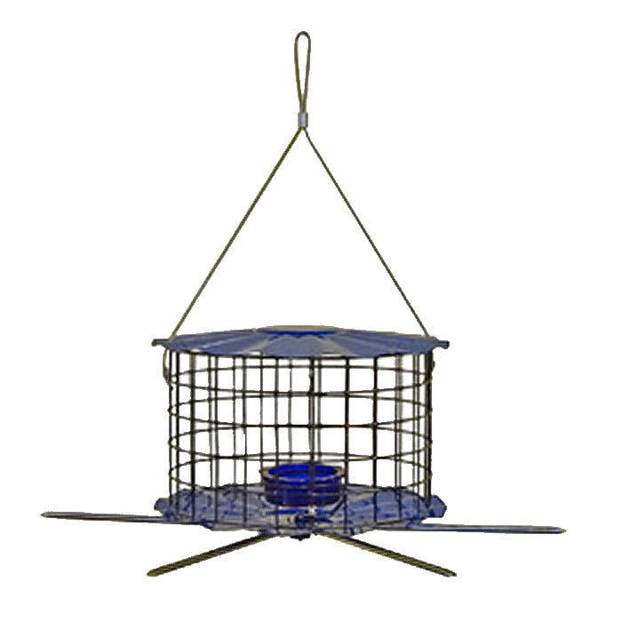 Erva Tool Barrier Guard Feeder Perch - Durable Bird Feeder Accessory for Outdoor & Garden Use - Attracts Wild Birds to Your Yard